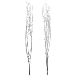 Best Sale 🔔 Assorted Silver Birch Branch by Ashland® 🎉