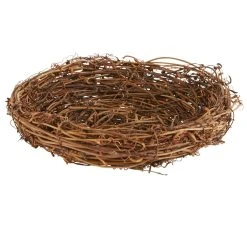 Top 10 π 8" Bird Nest by Ashland® β¨