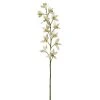 Deals ✔️ 8 Pack: Cream Boat Orchid Stem by Ashland® ⌛ 1 Deals ✔️ 8 Pack: Cream Boat Orchid Stem by Ashland® ⌛ -Ashlandty Shop 230929