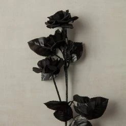 New ✔️ 12 Pack: Black Diamond Rose Spray by Ashland® 👏 -Ashlandty Shop MP012412 25