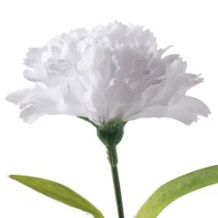 Best deal 🥰 24 Pack: White Carnation Spray by Ashland® 😀 -Ashlandty Shop MP017878 20