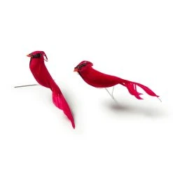 New ⭐ 24 Packs: 2 ct. (48 total) Cardinal Birds by Ashland® ⭐ -Ashlandty Shop MP029954 21