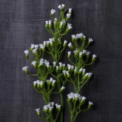 Outlet ✔️ 12 Pack: Ivory Mini Baby's Breath Spray by Ashland® 👏 -Ashlandty Shop MP035159 22