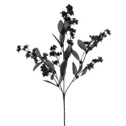 Cheapest π₯° 12 Pack: Black Double Baby's Breath Spray by Ashland® π