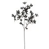 Cheap 🔔 12 Pack: Charcoal Gray Azalea Spray by Ashland® 🌟 -Ashlandty Shop MP035291 1