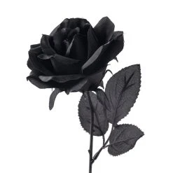Flash Sale ❤️ 12 Pack: Black Open Rose Stem by Ashland™ 🧨 -Ashlandty Shop MP035292 20