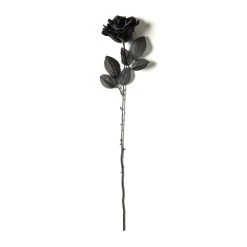 Flash Sale ❤️ 12 Pack: Black Open Rose Stem by Ashland™ 🧨 -Ashlandty Shop MP035292 21