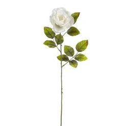 Brand new โ 24 Pack: White Holland Rose Stem by Ashland® ๐