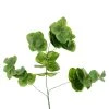 Wholesale 😉 12 Pack: Green Eucalyptus Branch by Ashland® ✨ 2 Wholesale 😉 12 Pack: Green Eucalyptus Branch by Ashland® ✨ -Ashlandty Shop MP067561 31