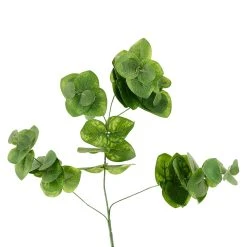 Wholesale 😉 12 Pack: Green Eucalyptus Branch by Ashland® ✨