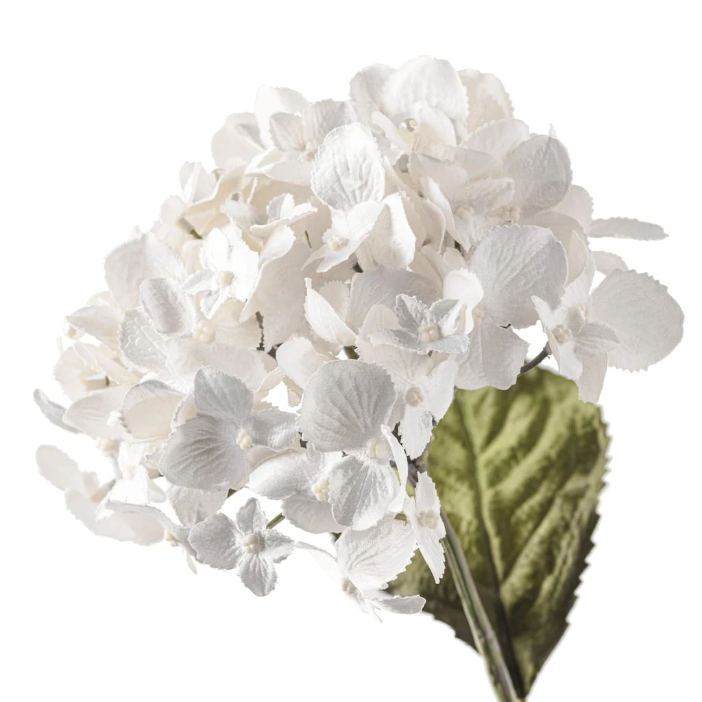 Wholesale ✔️ 12 Pack: Pearl Hydrangea Stem by Ashland® 🧨 6 Wholesale ✔️ 12 Pack: Pearl Hydrangea Stem by Ashland® 🧨 - Image 4