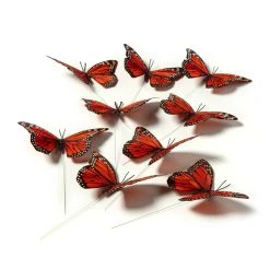 Best reviews of 🛒 8 Packs: 8 ct. (64 total) Assorted 8.6" Monarch Butterfly Pack by Ashland® 🥰 -Ashlandty Shop MP128655 21