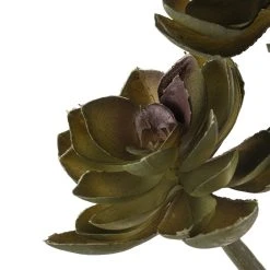 Budget 🎉 12 Pack: Assorted Succulent Pick by Ashland® 🎁 7 Budget 🎉 12 Pack: Assorted Succulent Pick by Ashland® 🎁 -Ashlandty Shop MP128870 20