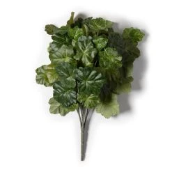 Flash Sale ✔️ 10 Pack: Coral Bell Bush by Ashland® 😉 -Ashlandty Shop MP129104 21