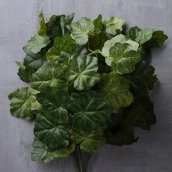 Flash Sale ✔️ 10 Pack: Coral Bell Bush by Ashland® 😉 -Ashlandty Shop MP129104 25