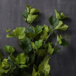 New 🌟 12 Pack: Green Hanging Grape Leaf Bush by Ashland® 🔔 -Ashlandty Shop MP131105 22