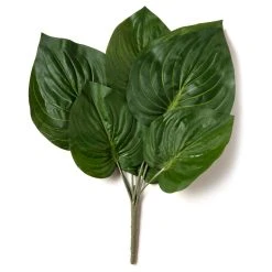 Top 10 ⭐ 12 Pack: Green Hosta Bush by Ashland® 🔔 -Ashlandty Shop MP131106 21