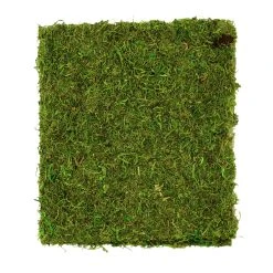 Wholesale ✔️ 12 Pack: Moss Mat by Ashland® ⌛ -Ashlandty Shop MP135027 2