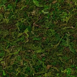 Wholesale ✔️ 12 Pack: Moss Mat by Ashland® ⌛ -Ashlandty Shop MP135027 22