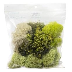 Flash Sale 😉 6 Pack: Moss Variety Pack by Ashland® ❤️