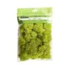 Flash Sale 💯 12 Pack: Reindeer Moss by Ashland® ✨ -Ashlandty Shop MP135038 1