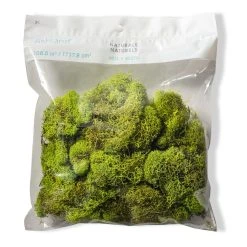 Flash Sale 💯 12 Pack: Reindeer Moss by Ashland® ✨ -Ashlandty Shop MP135038 20