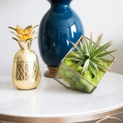 Flash Sale 💯 12 Pack: Reindeer Moss by Ashland® ✨ -Ashlandty Shop MP135038 4