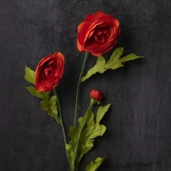 Best deal 😀 18 Pack: Orange Ranunculus Spray by Ashland® ⌛ -Ashlandty Shop MP140467 22