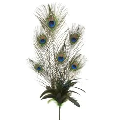 Best deal π 12 Pack: Peacock Feather Pick by Ashland® β¨