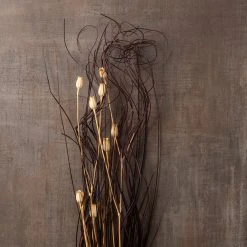 Best Pirce 🔥 8 Pack: Dried Lagurus Floral Bouquet by Ashland® ✔️ -Ashlandty Shop MP153486 25