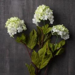 Outlet 🎁 12 Pack: White Snowball Spray by Ashland® 🎉 -Ashlandty Shop MP174048 25