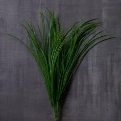 Buy ❤️ 8 Pack: Assorted Grass Bush by Ashland® ⭐ 11 Buy ❤️ 8 Pack: Assorted Grass Bush by Ashland® ⭐ -Ashlandty Shop MP189538 25