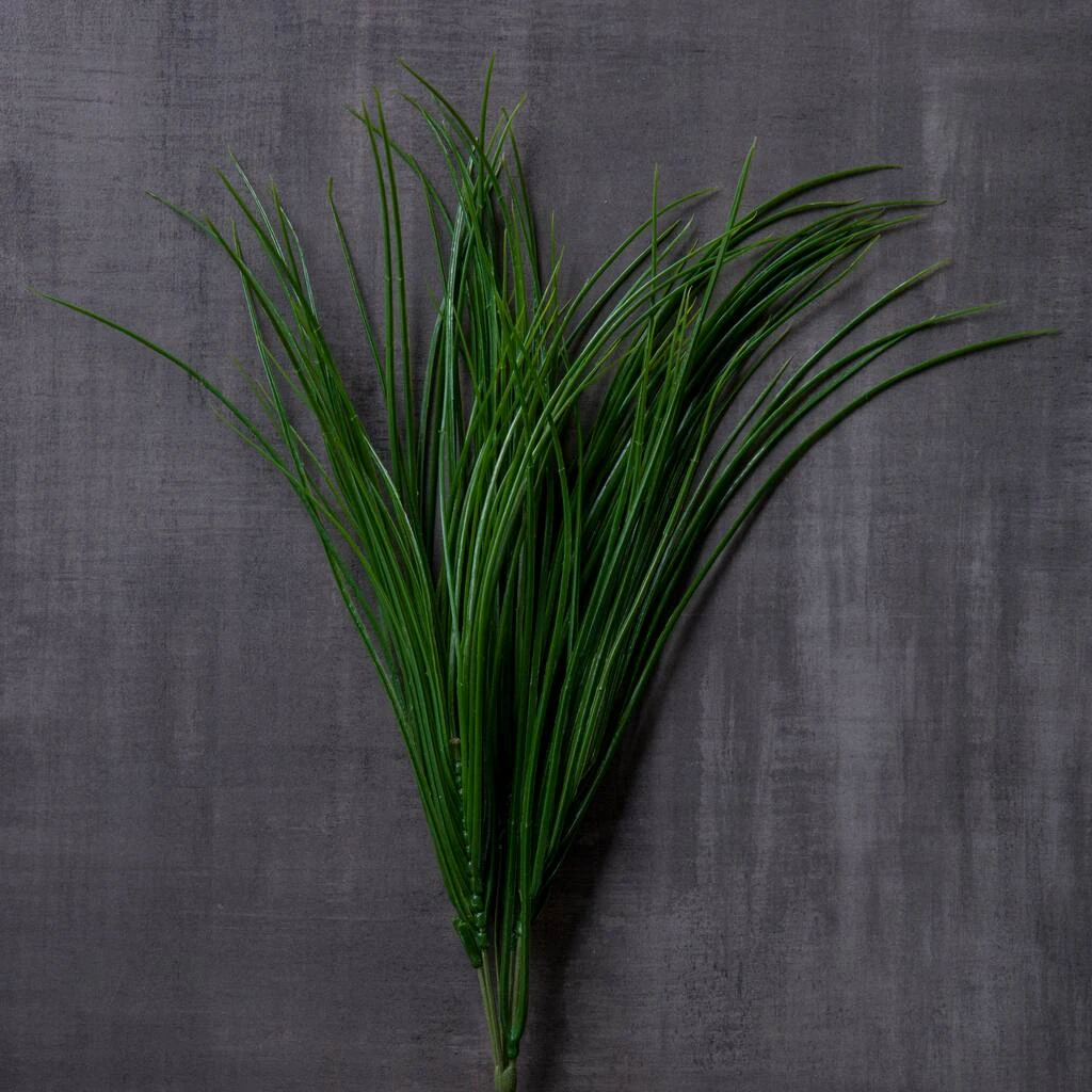 Buy ❤️ 8 Pack: Assorted Grass Bush by Ashland® ⭐ 7 Buy ❤️ 8 Pack: Assorted Grass Bush by Ashland® ⭐ - Image 5