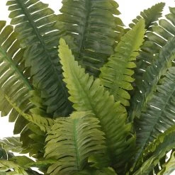 Cheapest 🥰 12 Pack: Boston Fern Bush by Ashland® ❤️ -Ashlandty Shop MP194885 2