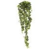 Hot Sale β 12 Pack: Star Ivy Bush by Ashland® π₯° 2 Hot Sale β 12 Pack: Star Ivy Bush by Ashland® π₯° -Ashlandty Shop MP194917 1