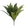 Buy 😍 12 Pack: Boston Fern Bush by Ashland® ⌛ -Ashlandty Shop MP194922