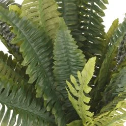 Buy 😍 12 Pack: Boston Fern Bush by Ashland® ⌛ -Ashlandty Shop MP194922 2