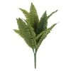 Best Sale ❤️ 12 Pack: Green Boston Fern Bush by Ashland® 🔔 -Ashlandty Shop MP194924 1