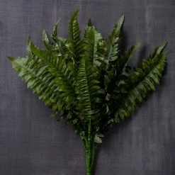 Best Sale ❤️ 12 Pack: Green Boston Fern Bush by Ashland® 🔔 -Ashlandty Shop MP194924 25