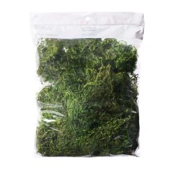 Cheap 👍 12 Pack: Preserved Forest Moss by Ashland® 🎁