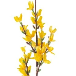Top 10 🥰 12 Pack: Yellow Forsythia Branch Spray by Ashland® 😉 -Ashlandty Shop MP205308 20