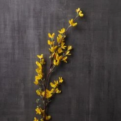 Top 10 🥰 12 Pack: Yellow Forsythia Branch Spray by Ashland® 😉 -Ashlandty Shop MP205308 25