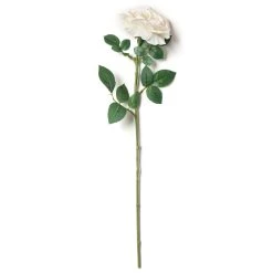 Top 10 😉 12 Pack: White Sophia Rose Stem by Ashland® 😉 -Ashlandty Shop MP213470 21