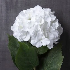 Outlet 🤩 12 Pack: Classic Traditions™ White Hydrangea Stem by Ashland® ✨ -Ashlandty Shop MP213498 22