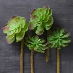 Budget ⌛ 12 Pack: Assorted Red Tipped Succulent Pick by Ashland® 🔥 -Ashlandty Shop MP229986 22