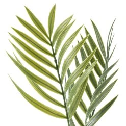 Top 10 👏 12 Pack: Green Palm Spray by Ashland® 🎁 -Ashlandty Shop MP230859 20