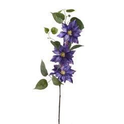 Cheapest 👍 12 Pack: Purple Clematis Stem by Ashland® ✨