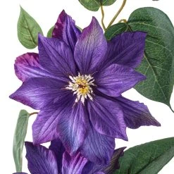 Cheapest 👍 12 Pack: Purple Clematis Stem by Ashland® ✨ -Ashlandty Shop MP230902 20