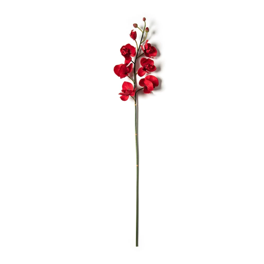 Best Pirce ✨ 6 Pack: Red Orchid Stem by Ashland® 😀 4 Best Pirce ✨ 6 Pack: Red Orchid Stem by Ashland® 😀 - Image 2