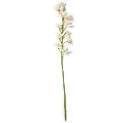 Deals ✔️ 8 Pack: Cream Boat Orchid Stem by Ashland® ⌛ -Ashlandty Shop MP230929 21